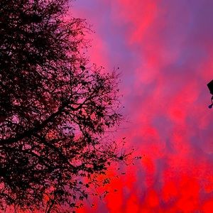 Meet your Posher, Eva